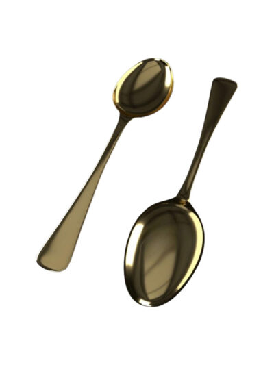Ear Protection Spoon